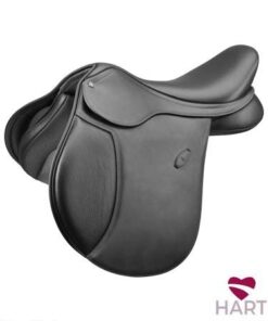 arena all purpose saddle AAPC